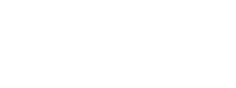 light logo